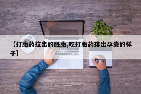 admin 第305页